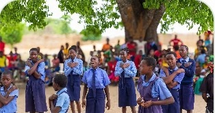 Learners gathered together under a tree